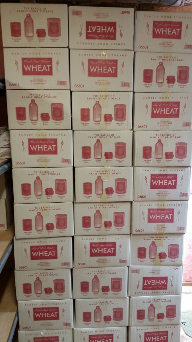 Boxes upon boxes of whole wheat
